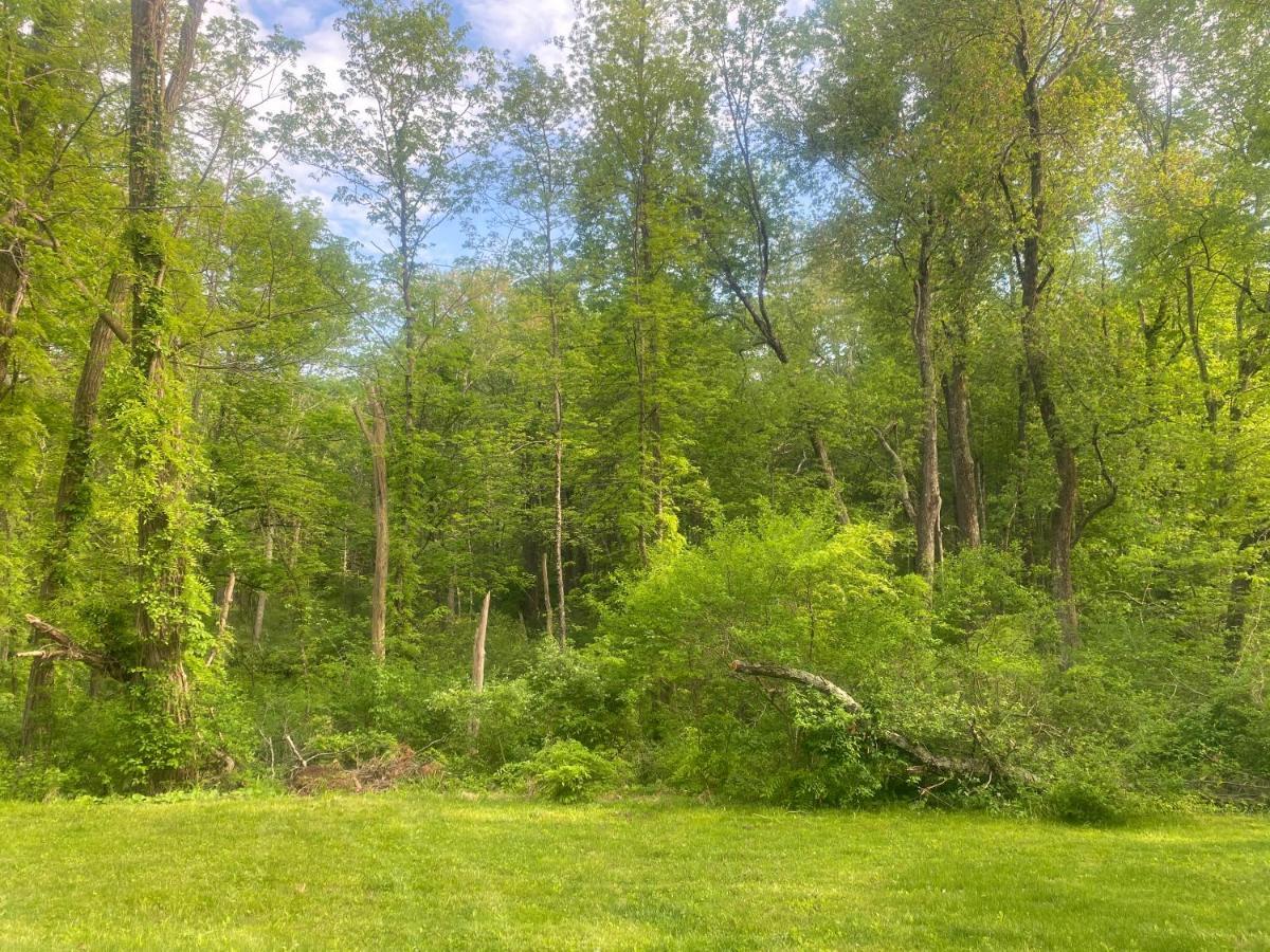 Newly Renovated 3Br Hudson Valley House Ulster Park Luaran gambar